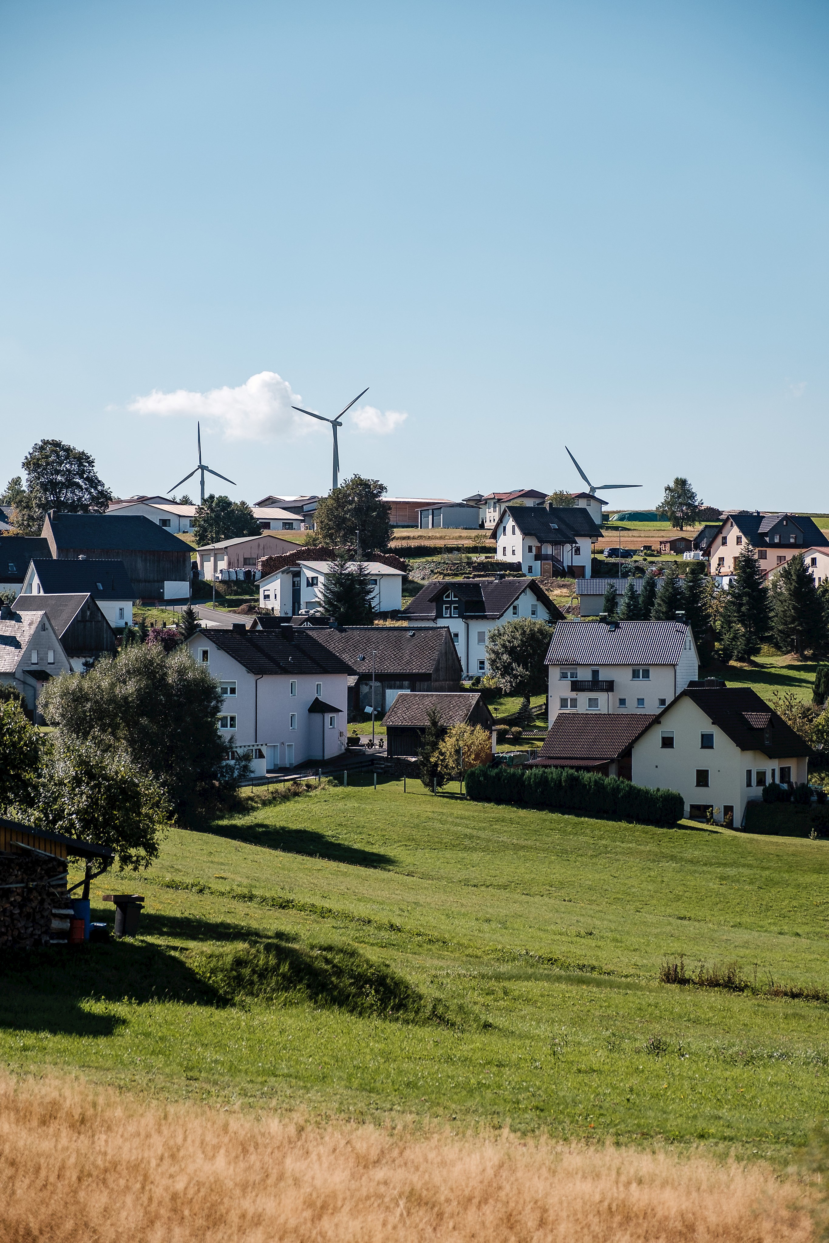 Bild vergrößern