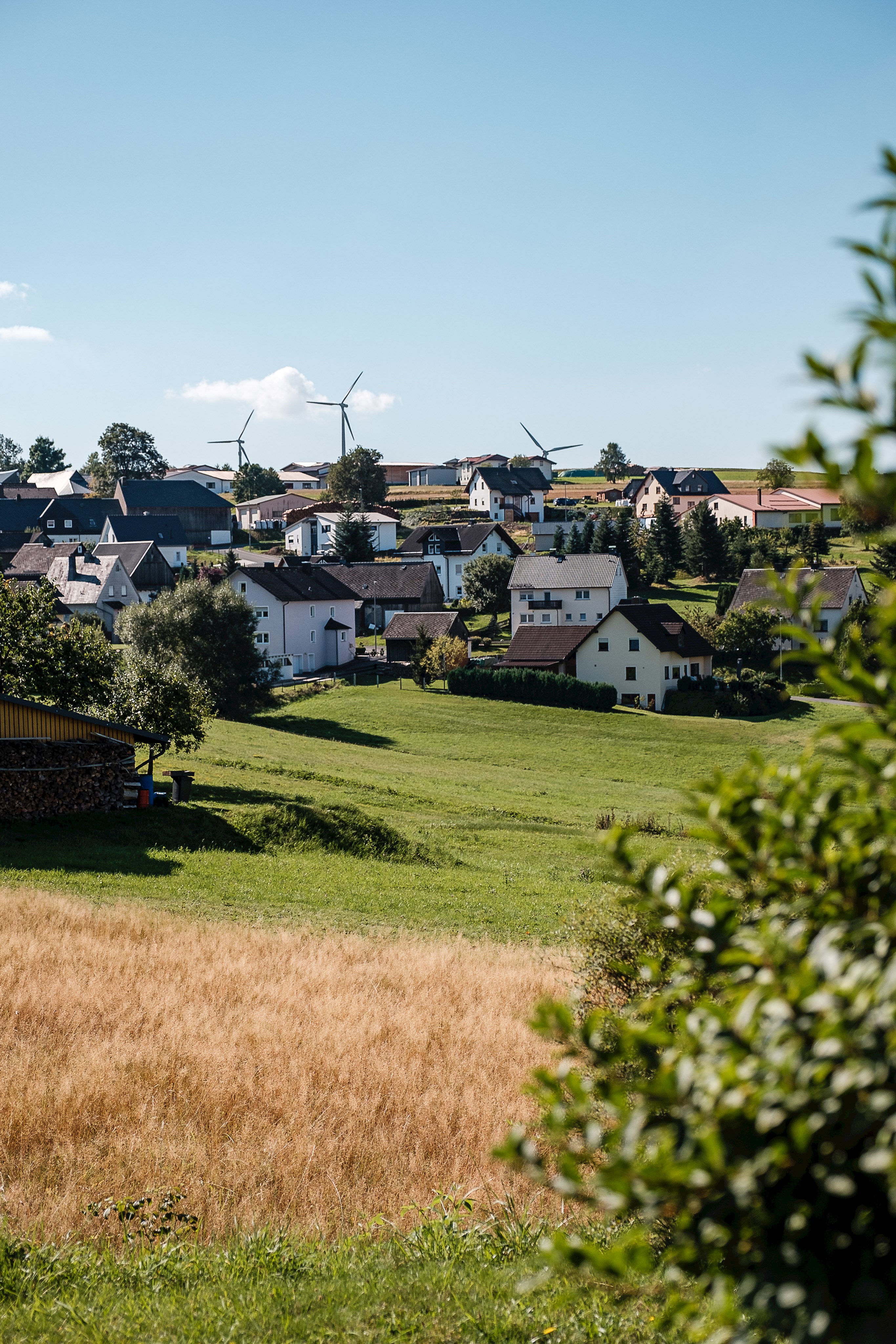 Bild vergrößern