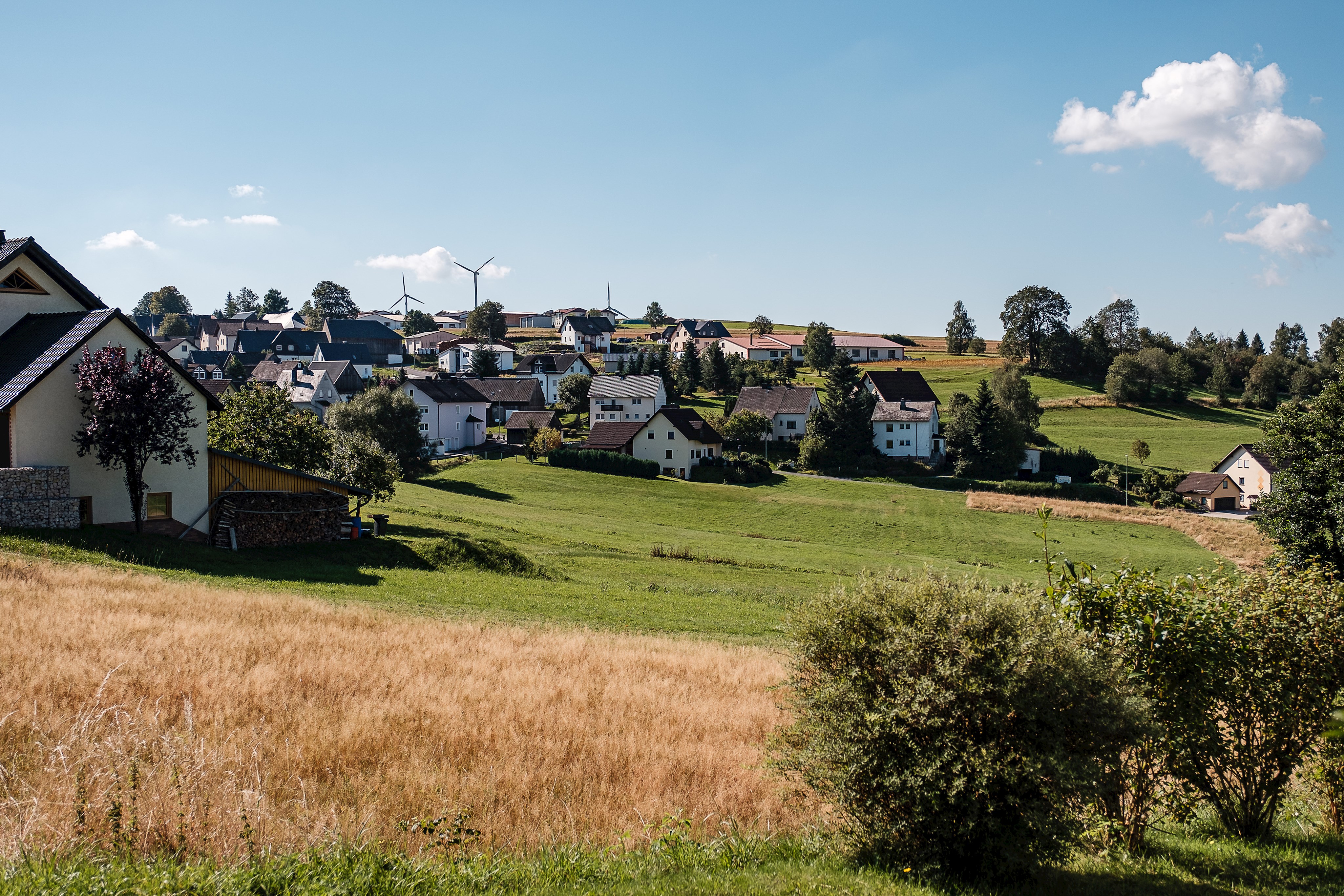 Bild vergrößern