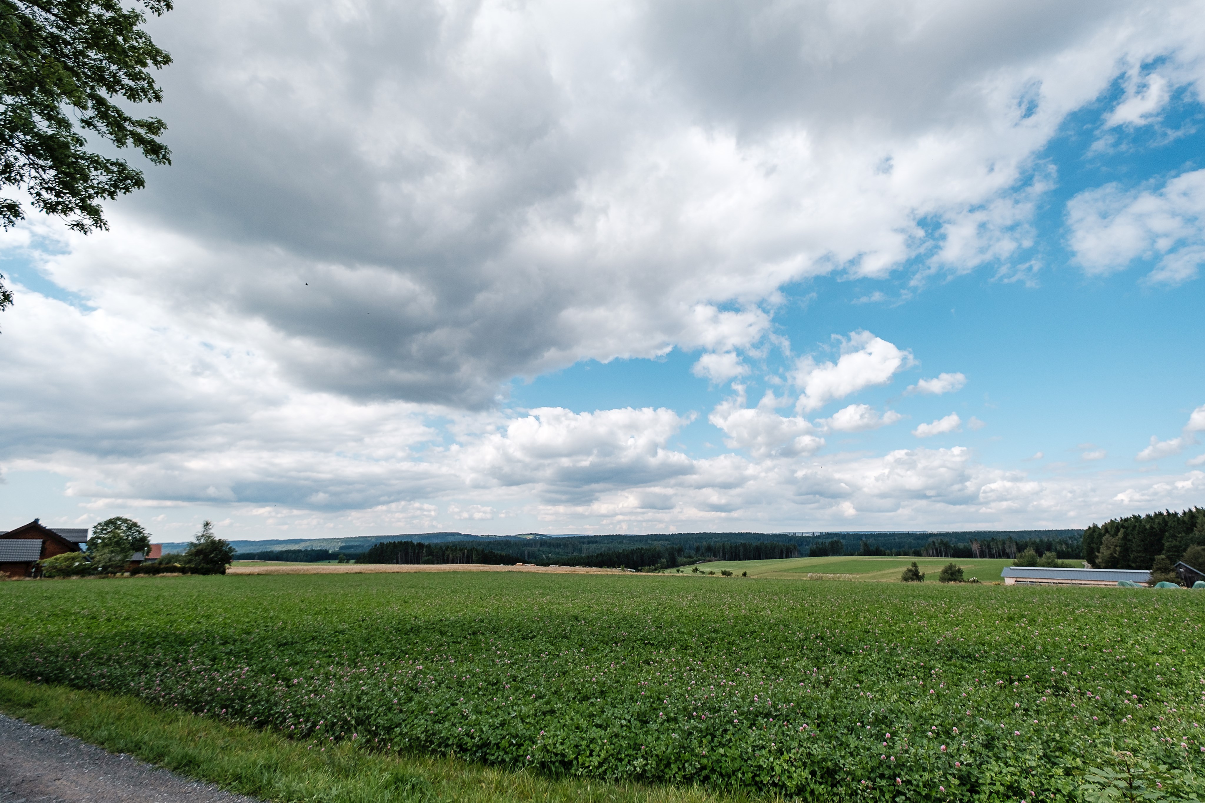 Bild vergrößern