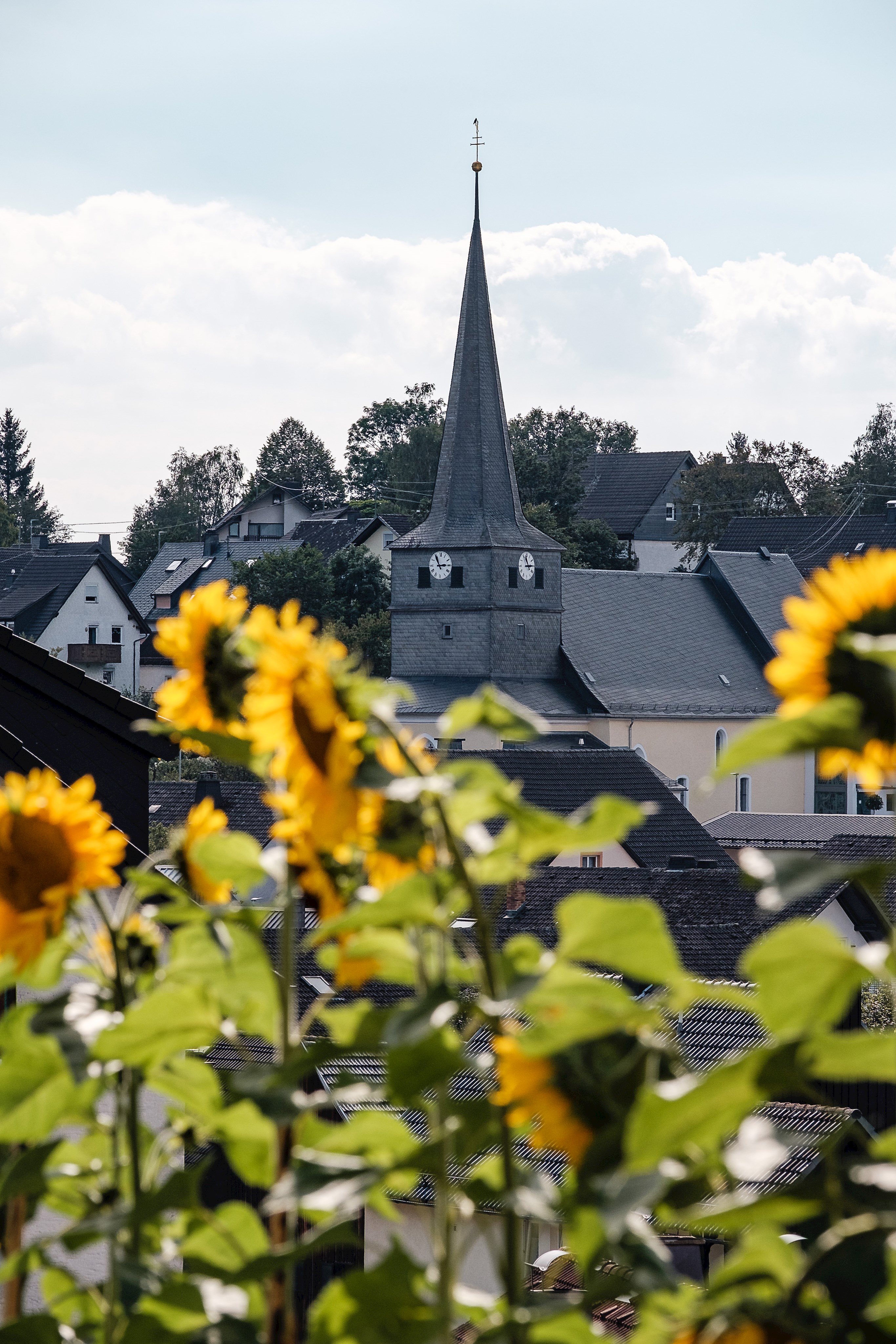 Bild vergrößern