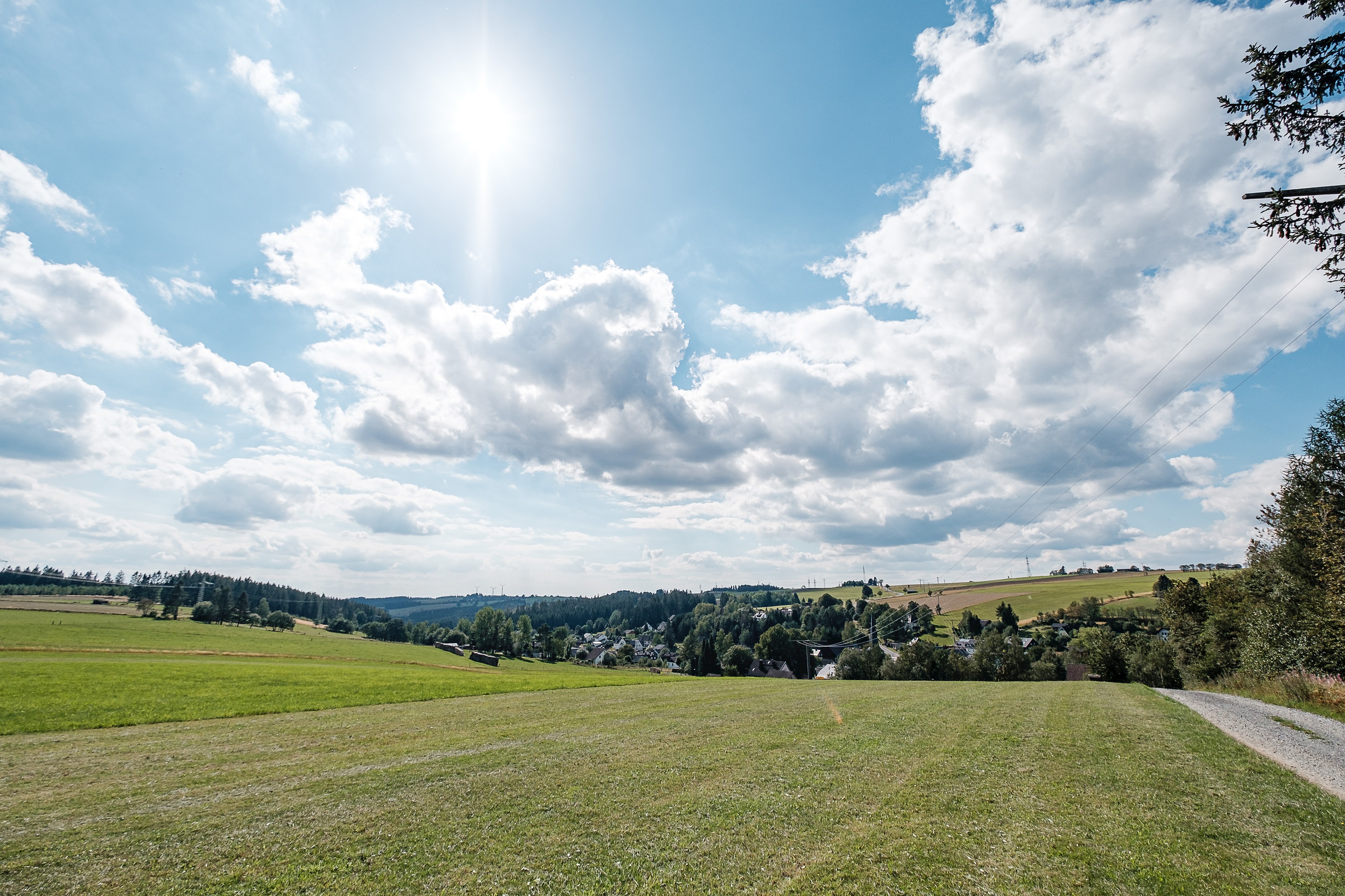 Bild vergrößern