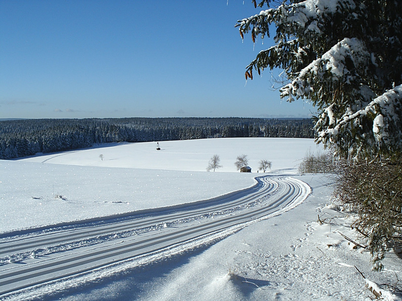 Bild vergrößern