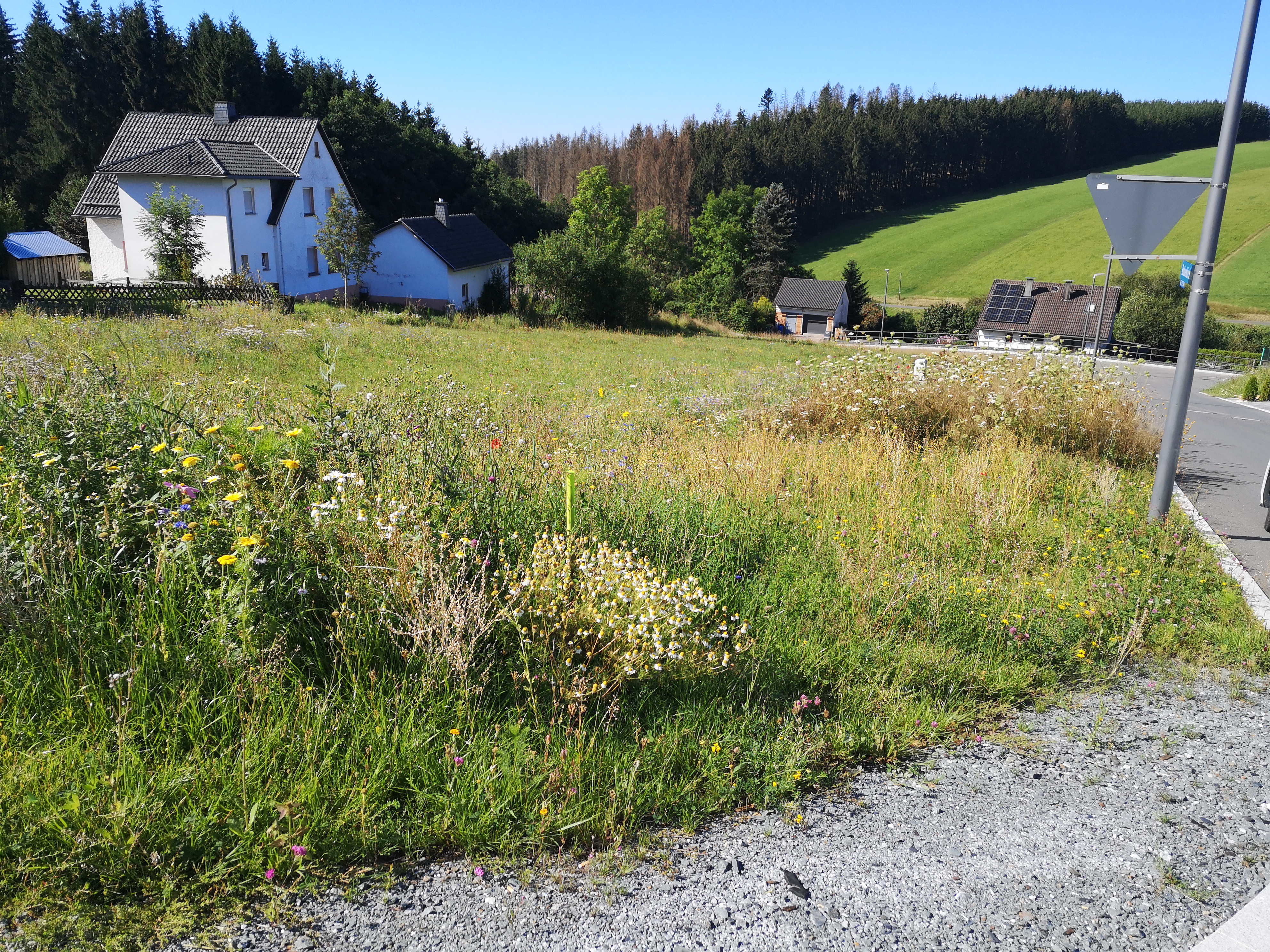 Bild vergrößern
