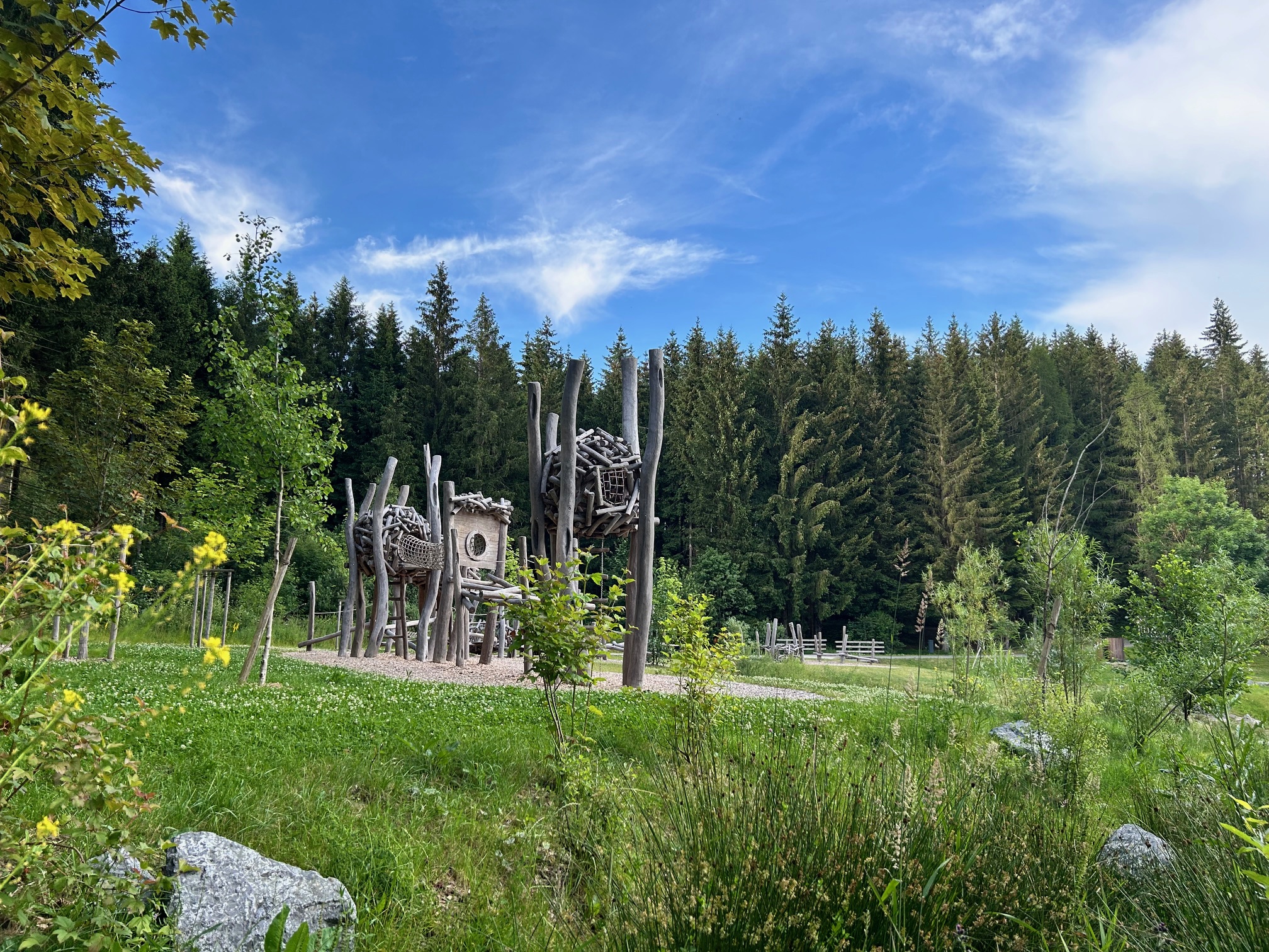 Bild vergrößern